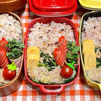 【お弁当】11月19日＊3人分♩♩♩おネギたっぷりが旨い!!!!!!!!!!