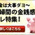 うちのパパのお買い物