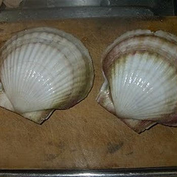 帆立貝とニラとキノコの餃子 と 副産物として帆立貝の刺身
