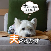 散財の相…。夫、やらかす