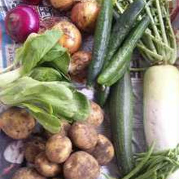 自家製野菜