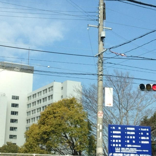 今度は次男の入院！母大忙し！