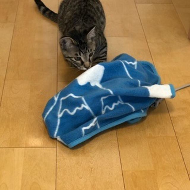 初めて洗濯してみたけど