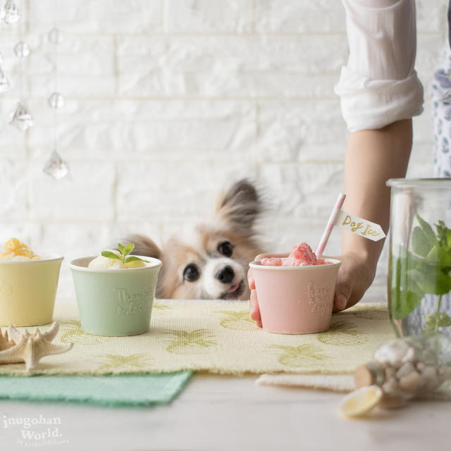 ■水分補給＆熱中症対策に♪ 冷凍庫に常備したい！冷たい犬おやつレシピ