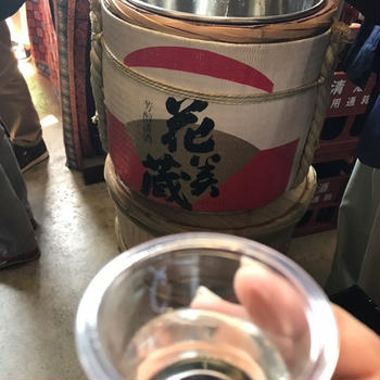 酒粕酵母でよもぎあんこパン