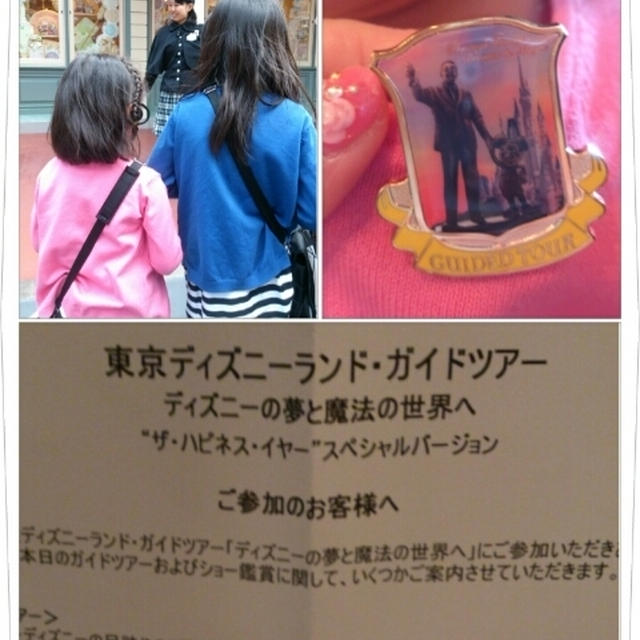 ガイドツアー☆ディズニーランド☆