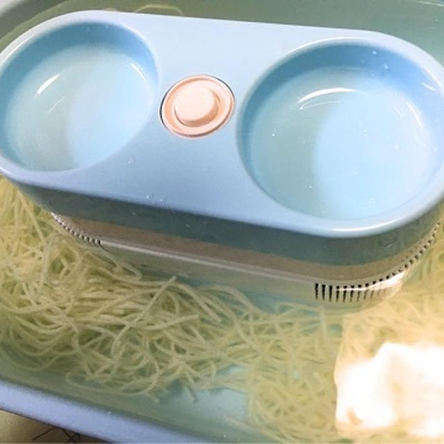 流しそうめん（笑）