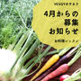 Veggyのチカラお料理レッスン春からはじまるレッスン募集のお知らせです。