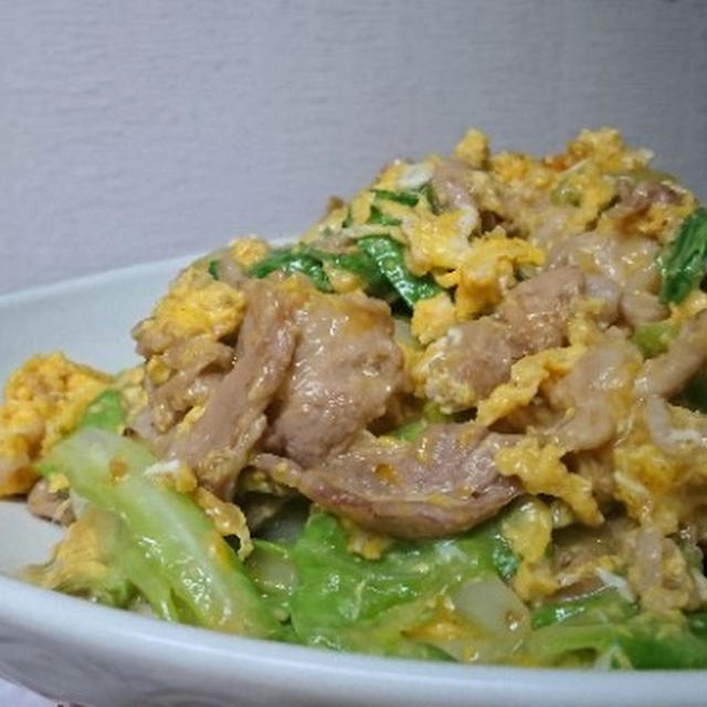 味の素クック・ドゥ 今日の大皿シリーズ「とろ卵 豚キャベツ 」 
