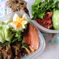 雨上がりの畑で落花生発芽＆キュウリ収穫(⌒∇⌒)・・・今日の節約お弁当～♪