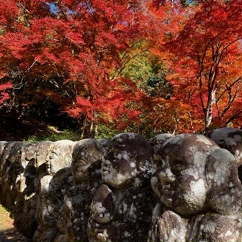 紅葉見頃の愛宕念仏寺