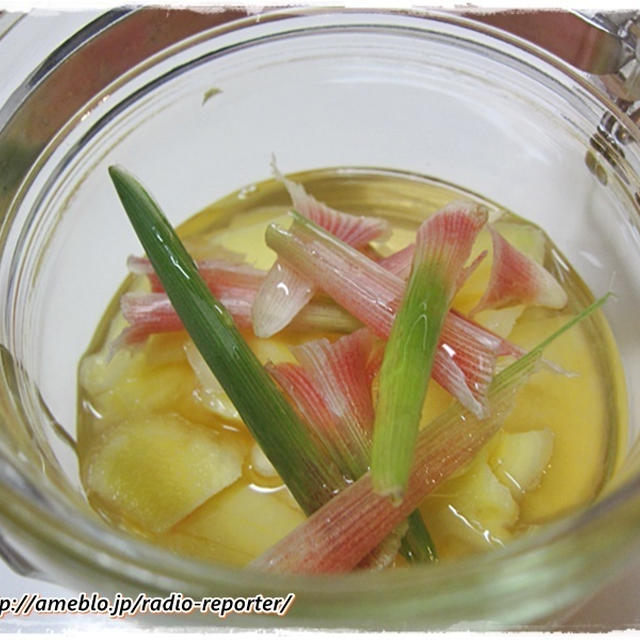 獲れたて新生姜でピクルス！無農薬野菜収穫体験に行ってきた～