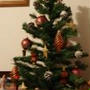 我が家のクリスマスツリー第一弾！
