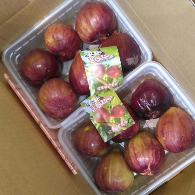 いちじく即売会