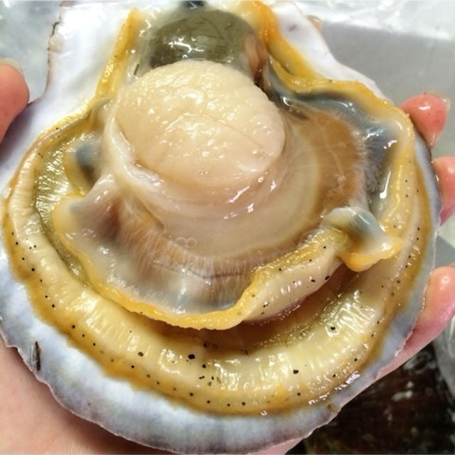 from青森