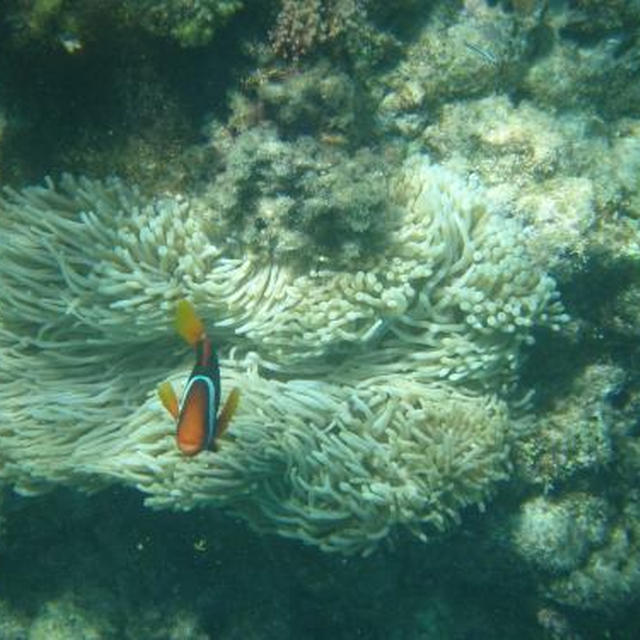 ＊沖縄の海で漂流!?＊