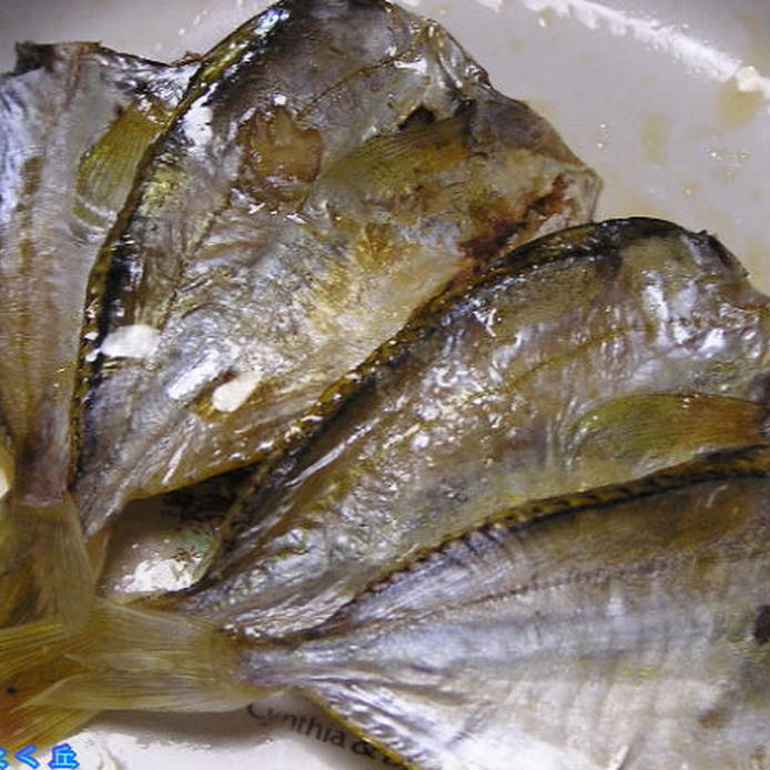 釣り人に嫌われる魚 ヒイラギの特徴と意外なおいしさを解説 Macaroni