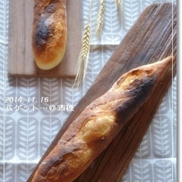 私…失敗しないんで。。。って言ってみたい！