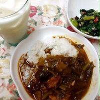 小松菜とツナの紫蘇わかめふりかけ和え　キャベツのカレー　　ぐんまクッキングアンバサダー(3期）