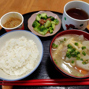 豚汁とご飯