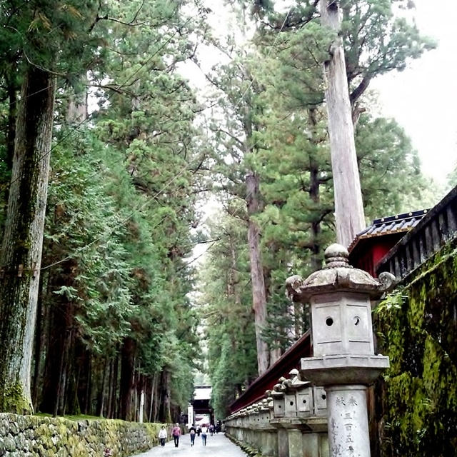 日帰り一人旅３（日光）