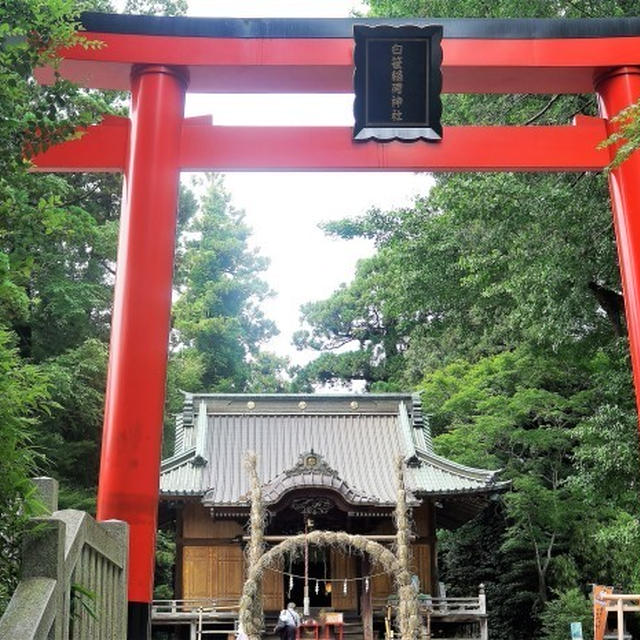 ■御朱印巡り【秦野関東三大稲荷　白笹稲荷神社】／【震生湖】
