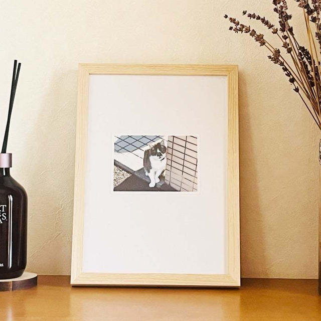 【True Wood Frame（天然木フレーム）】