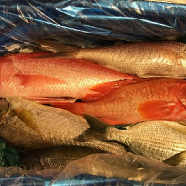 日本から魚のお取り寄せ ２ ウメイロを料理 By Mchappykunさん レシピブログ 料理ブログのレシピ満載