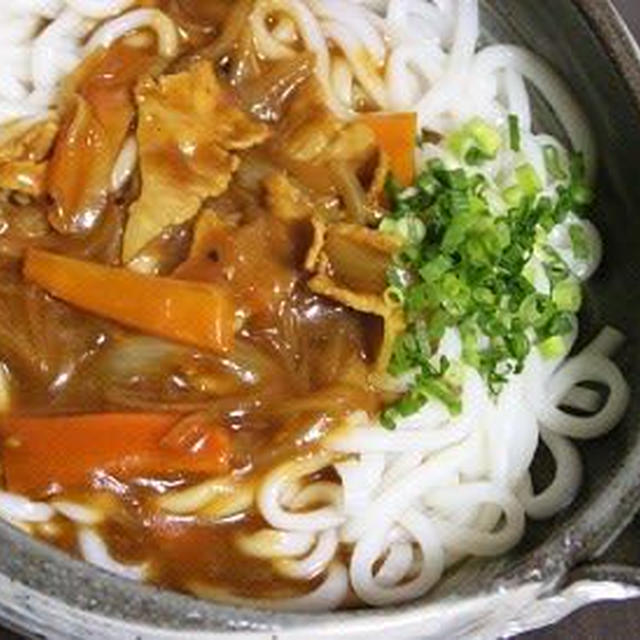 1月22日　　激辛カレーがけうどん