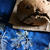 Raisin Bread