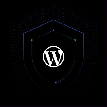 Introducing WordPress.com’s New Hardened DDoS Protection Setting