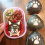 わんこ弁当です！