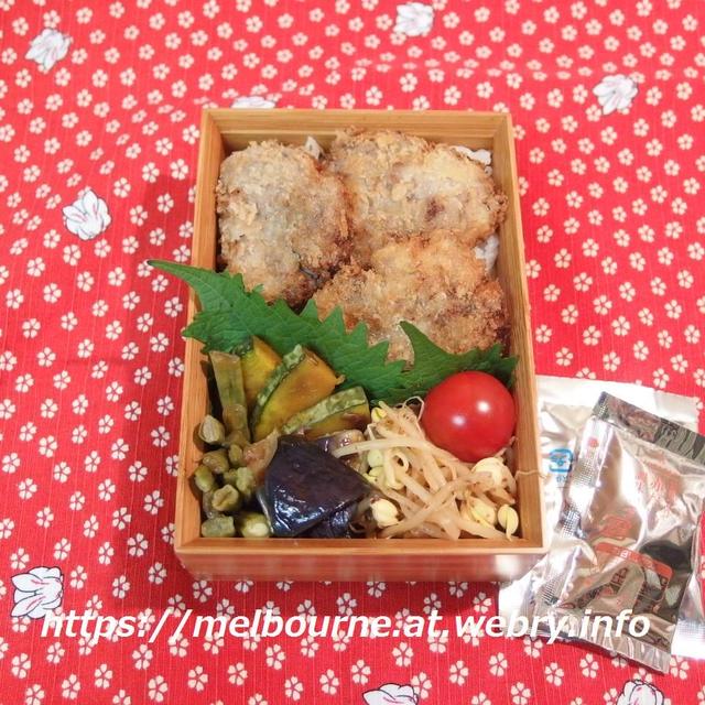 読書めも『人魚の眠る家』　★　じぶんBENTOはビフカツ