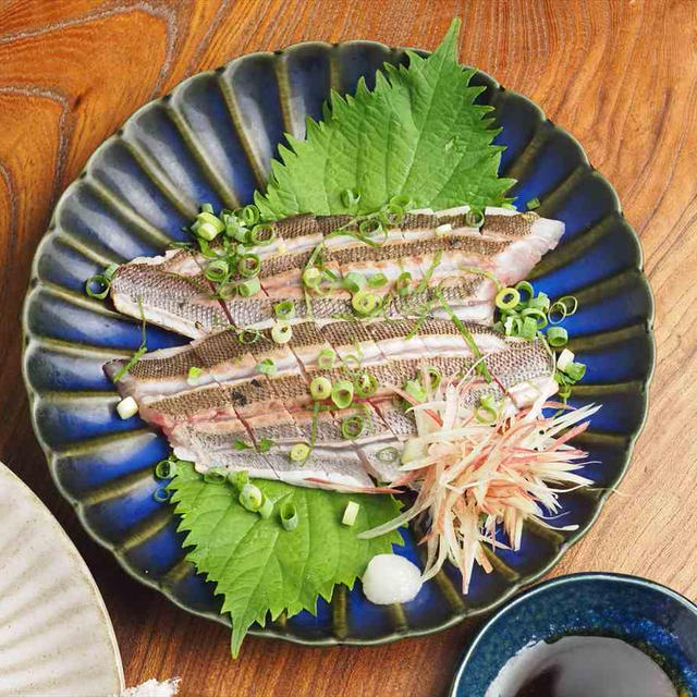 イサキの炙り刺身、旬のイサキは小さくても脂がのって美味しい！　梅雨明けしたら6月だというのに真夏の暑さ・・・今年の夏はどうなる？