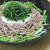 くらしのアンテナ掲載！大葉でさっぱり＆爽やか〜ボリュームたっぷりの麺レシピ。