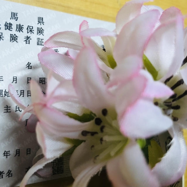 国民健康保険に