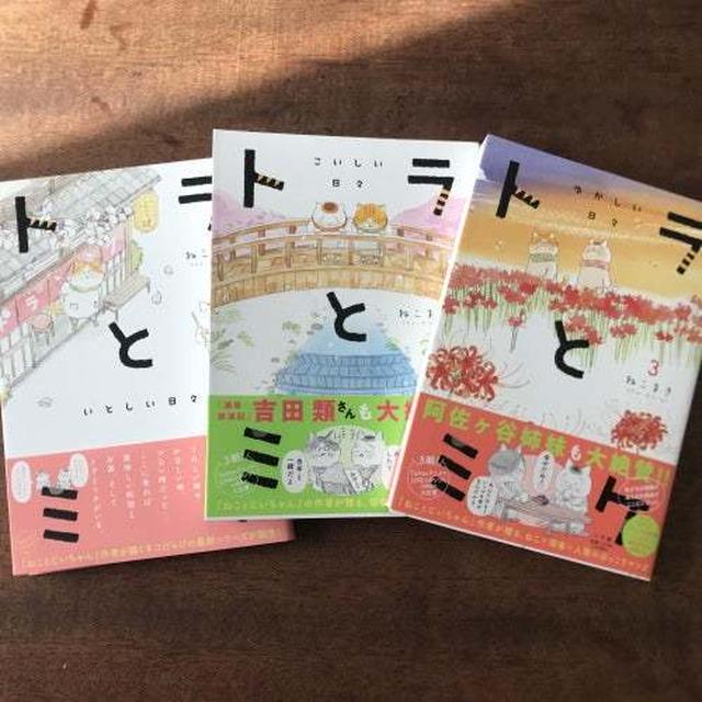 漫画「トラとミケ」の帯を書かせていただきました！