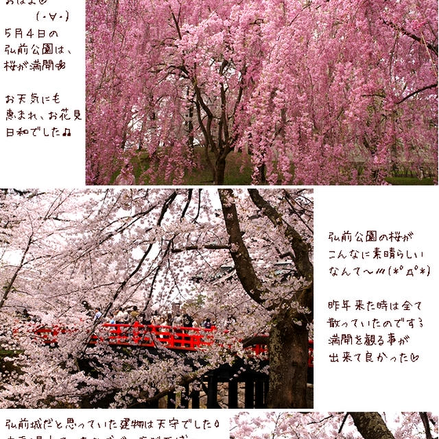 ■弘前公園・昼■この歳で知った事実…(；・∀・)