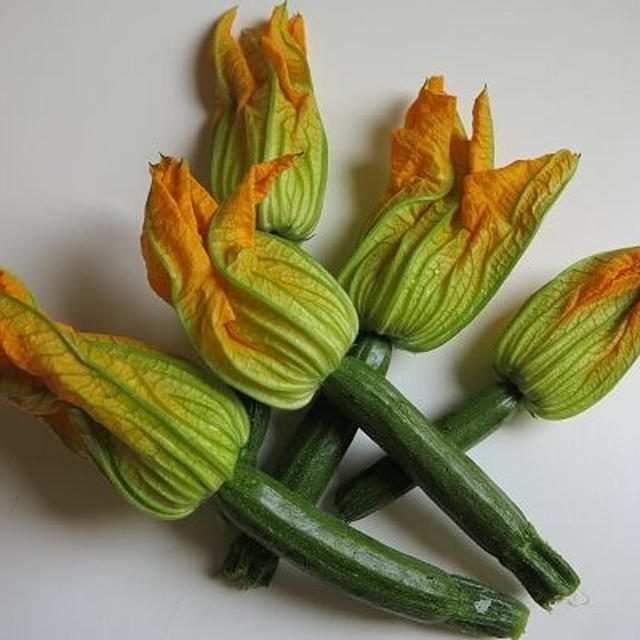 イタリア野菜生産者・販売所リスト