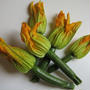 イタリア野菜生産者・販売所リスト