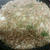久々にもんじゃ焼き～☆(*^_^*)
