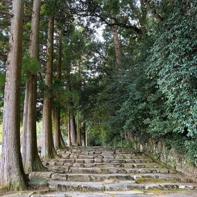 さて…正解は。