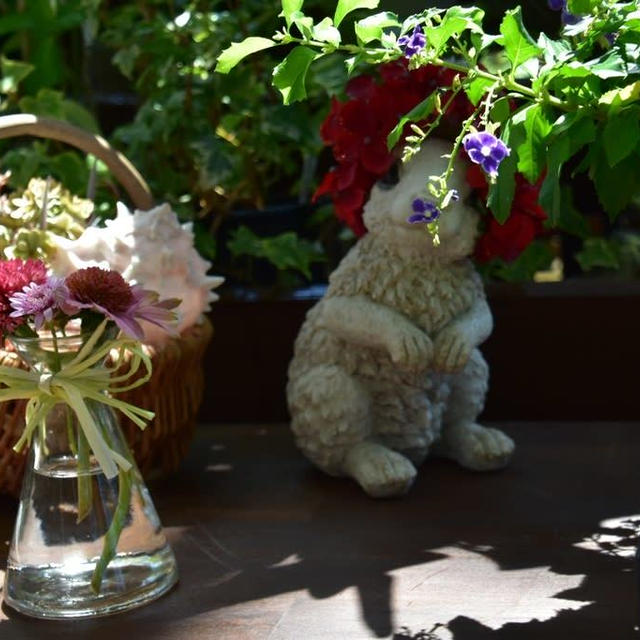 いくとぴあ食花のお花は素敵です③