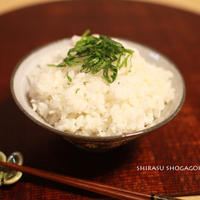しらす生姜ご飯