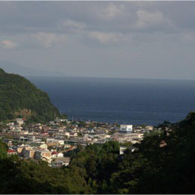 ネコと一緒に伊豆旅行☆