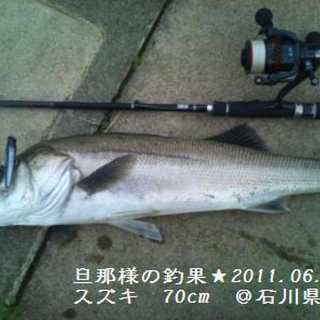 旦那様の釣果【11.06.02】