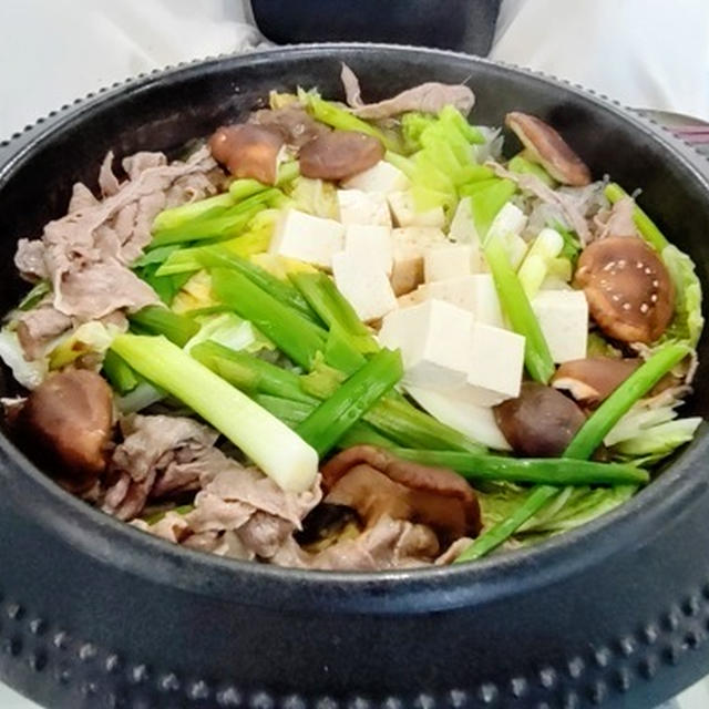 赤い鮭の遡上が見れて縁起良し ～