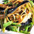 ■簡単5分！！で美味しい♪【液体味噌と焼肉のタレで野菜炒め】