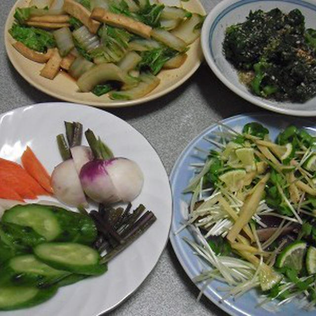 鰹たたきのっけ盛り。うたたねあんこ