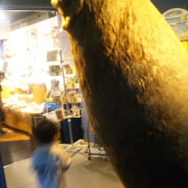 鳥羽水族館♪